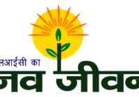 LIC Nav Jeevan plan example