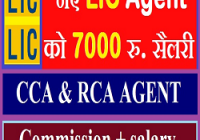 LIC CCA Agent salary