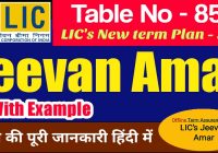 LIC Jeevan Amar Plan 855