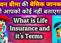 What is Life Insurance and it’s terms